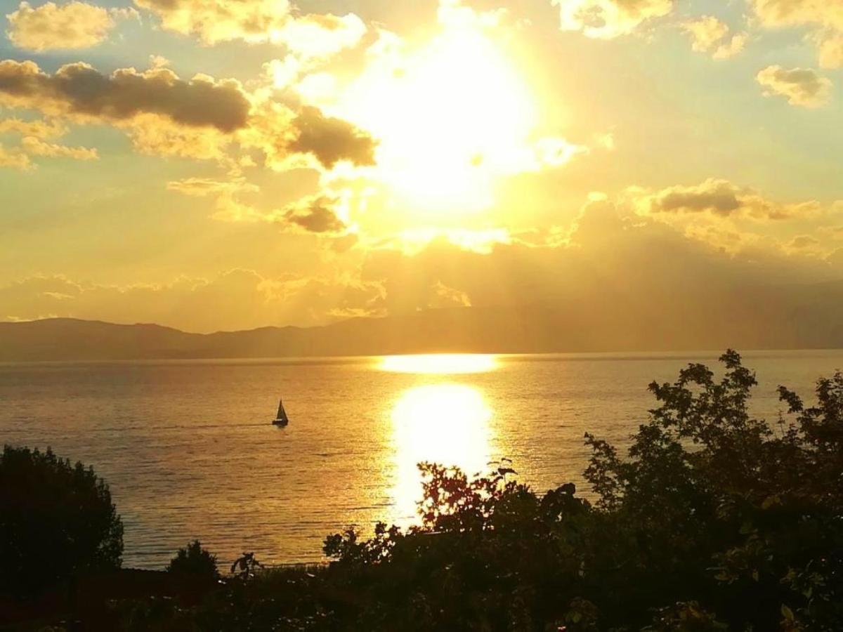 Villa Forest Paradise Ohrid Esterno foto
