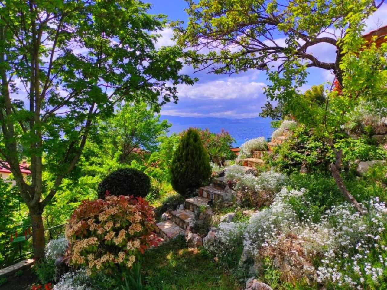 Villa Forest Paradise Ohrid Esterno foto