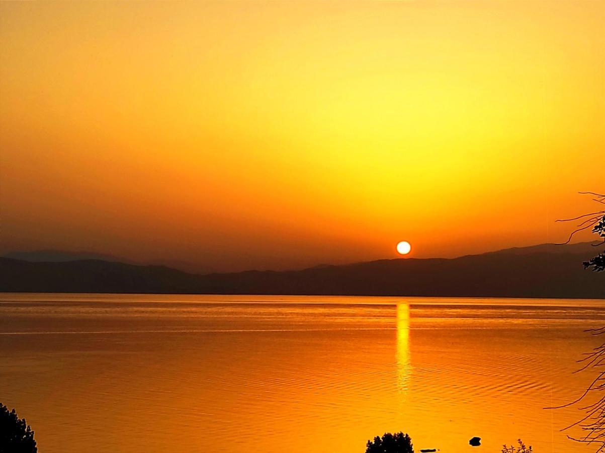Villa Forest Paradise Ohrid Esterno foto