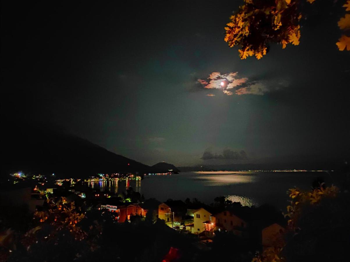 Villa Forest Paradise Ohrid Esterno foto