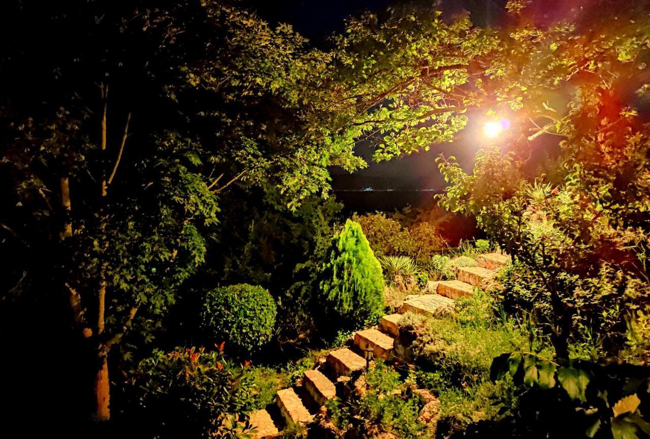 Villa Forest Paradise Ohrid Esterno foto
