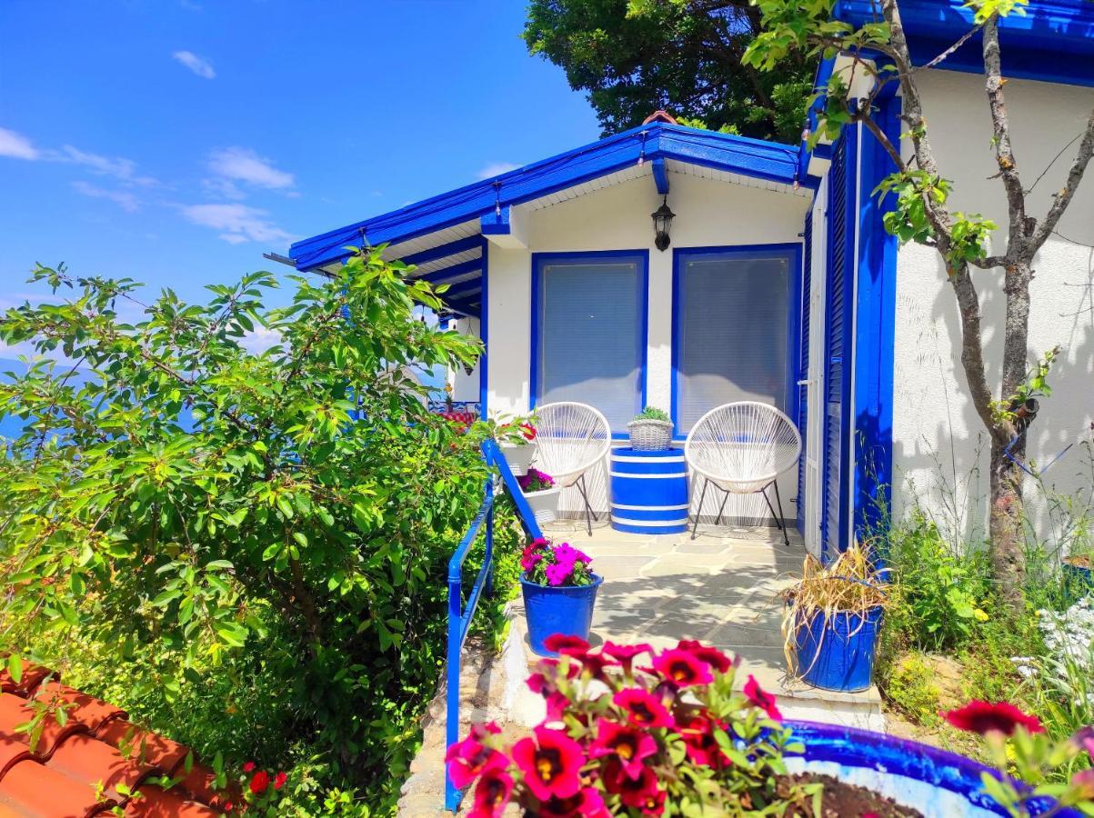 Villa Forest Paradise Ohrid Esterno foto