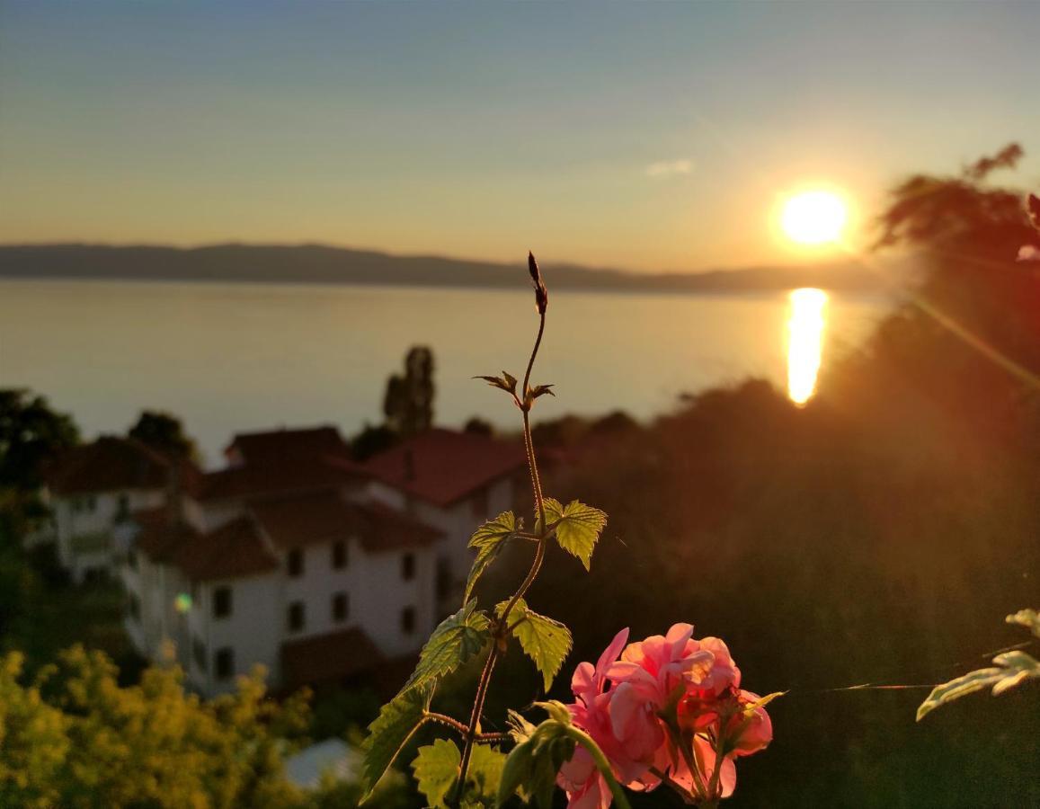 Villa Forest Paradise Ohrid Esterno foto