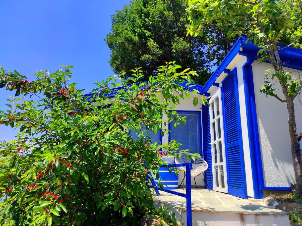 Villa Forest Paradise Ohrid Esterno foto