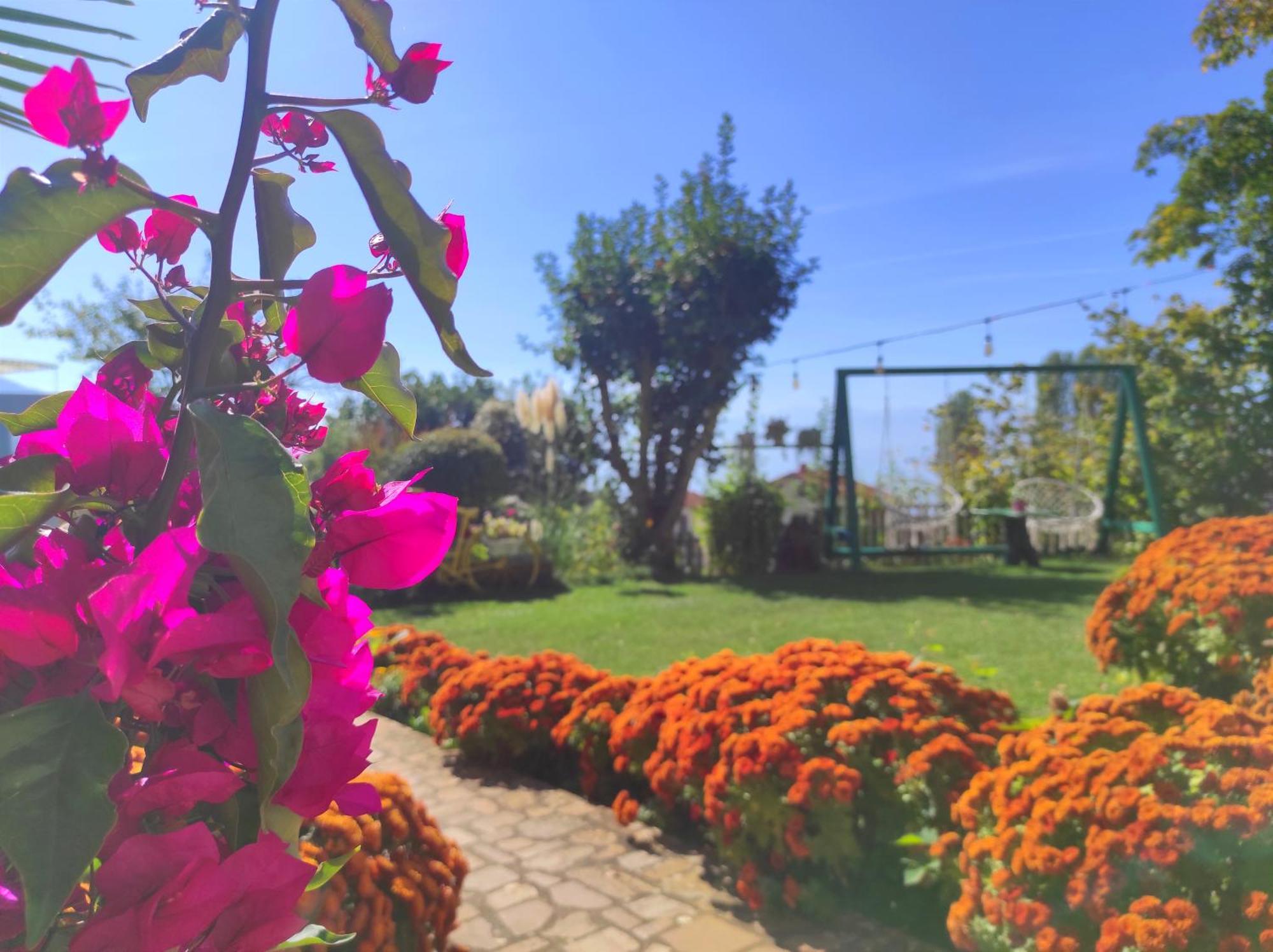 Villa Forest Paradise Ohrid Esterno foto