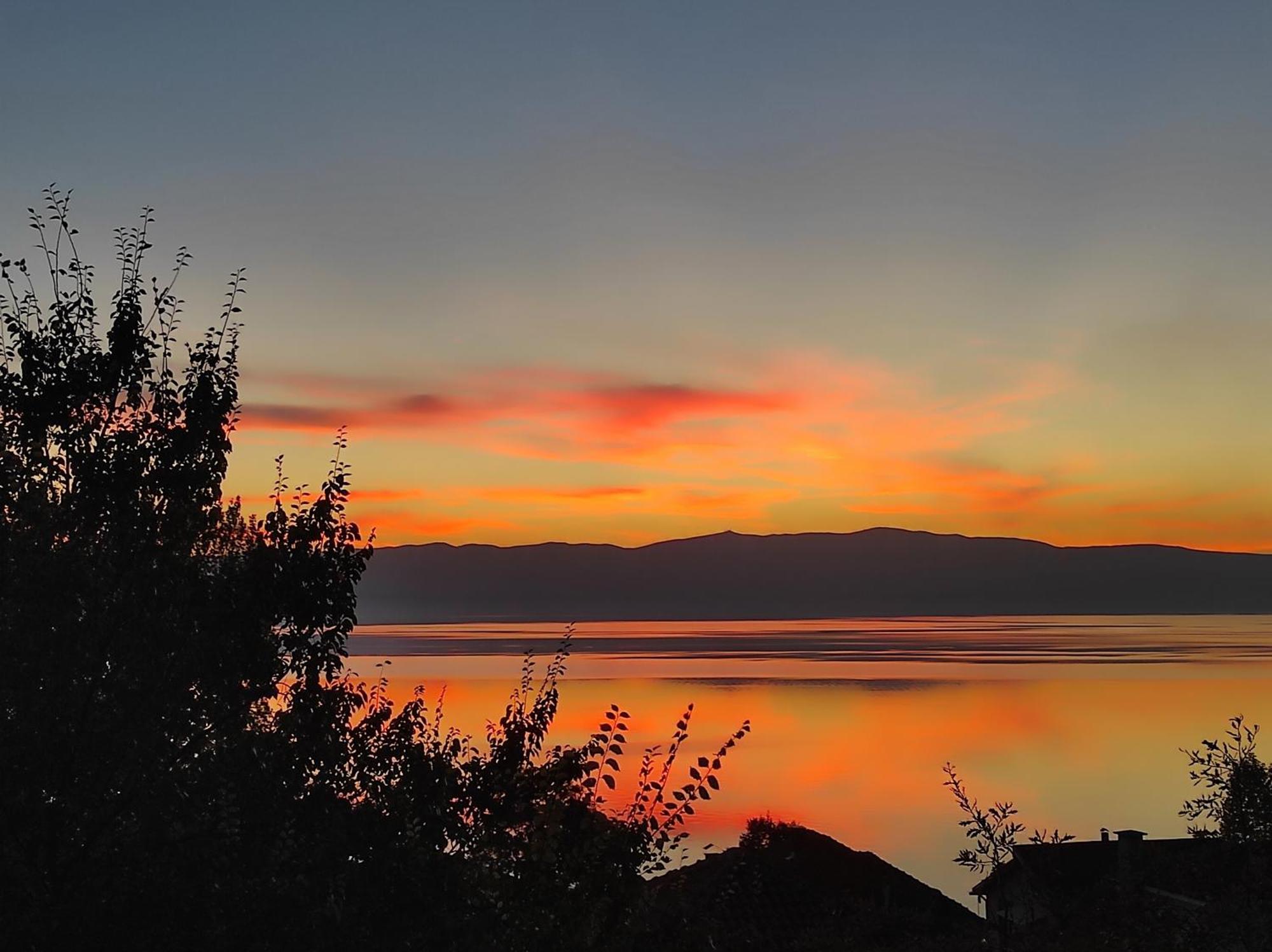 Villa Forest Paradise Ohrid Esterno foto