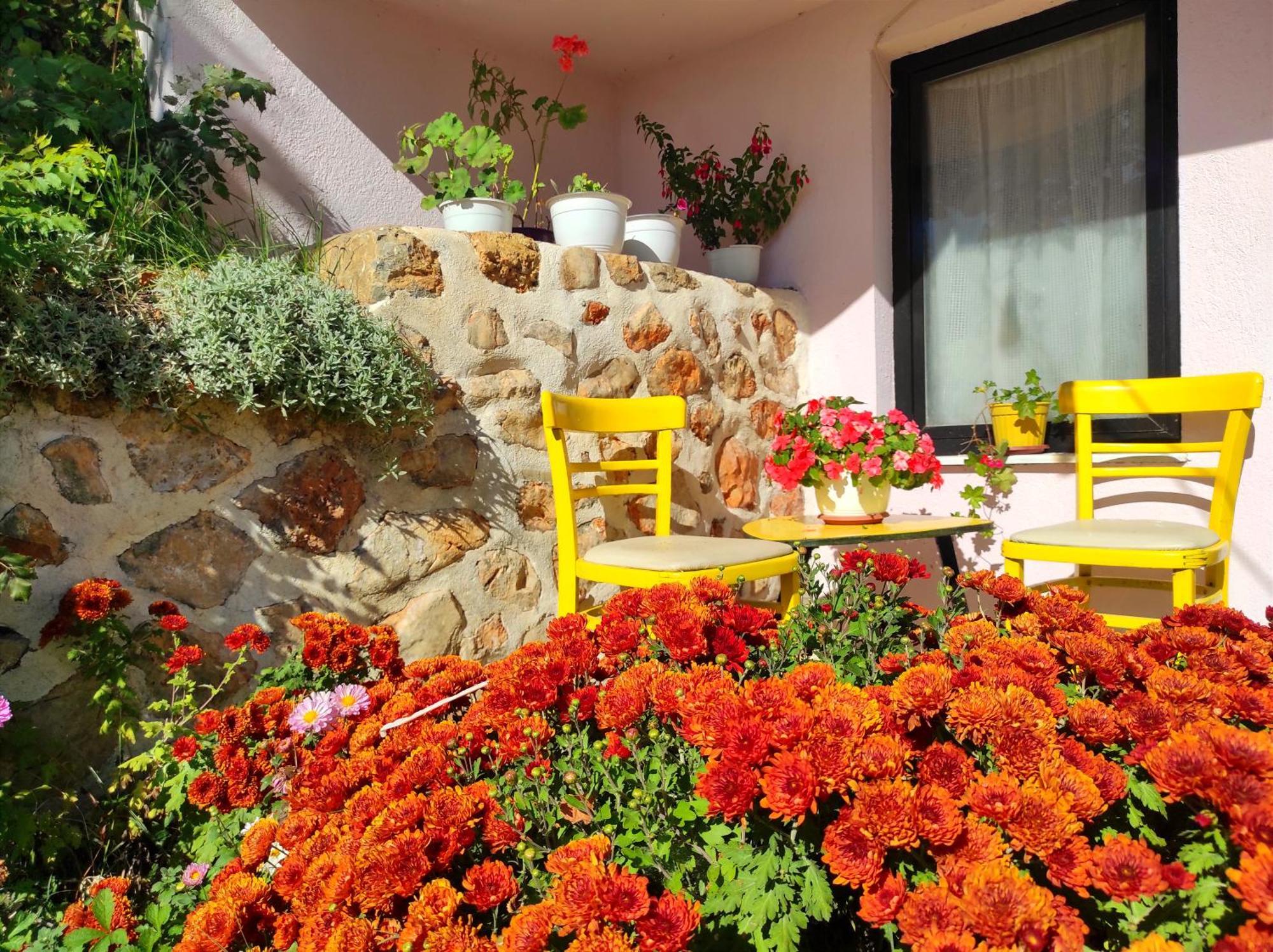 Villa Forest Paradise Ohrid Esterno foto
