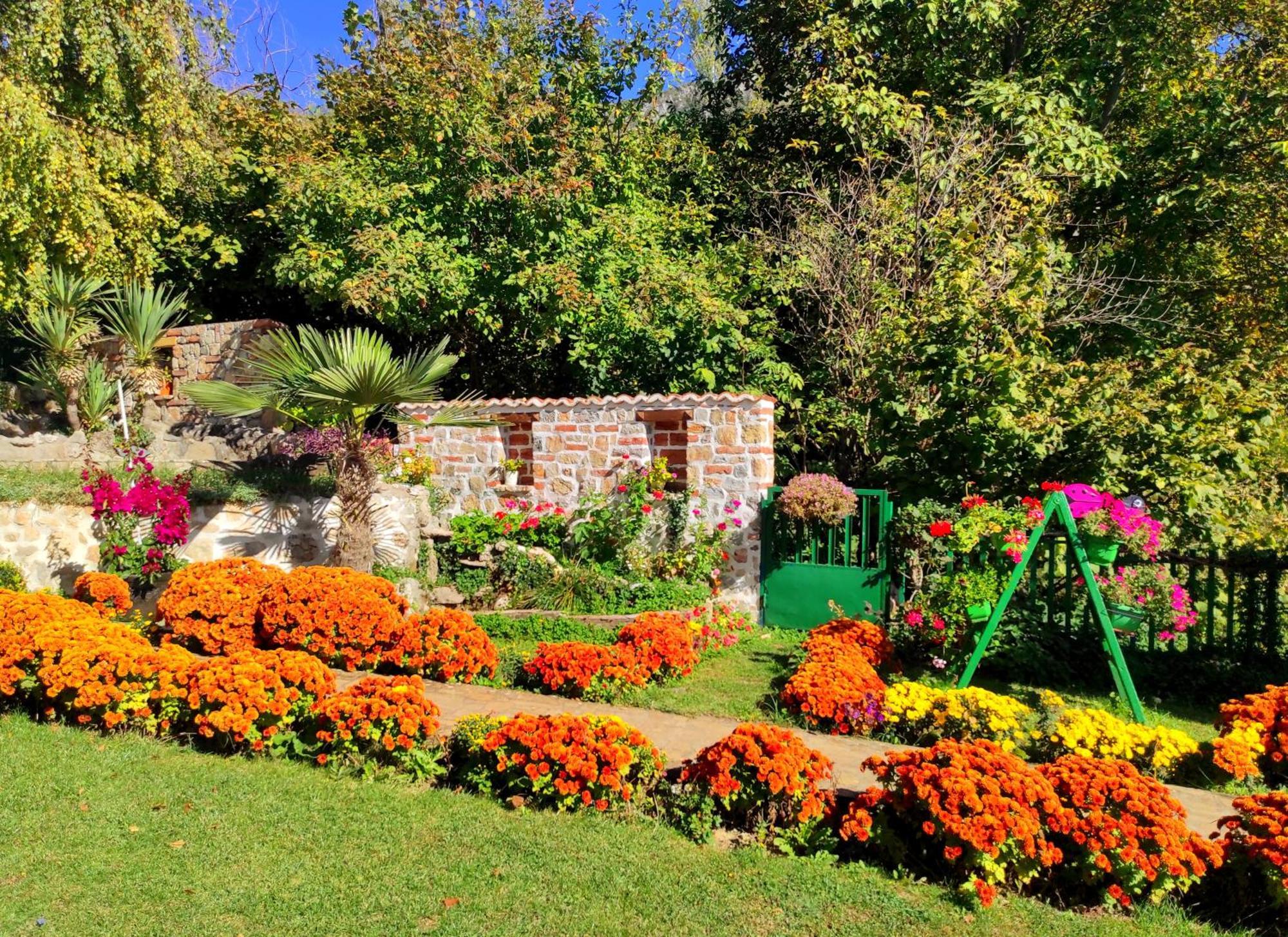 Villa Forest Paradise Ohrid Esterno foto