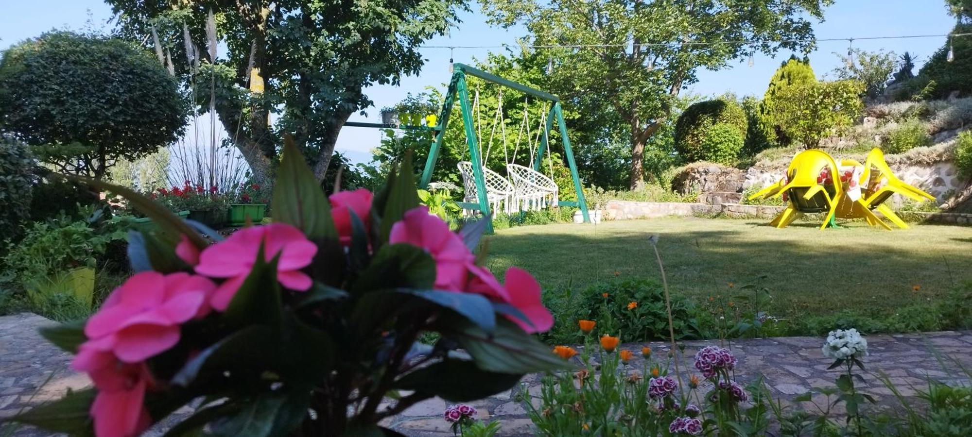 Villa Forest Paradise Ohrid Esterno foto