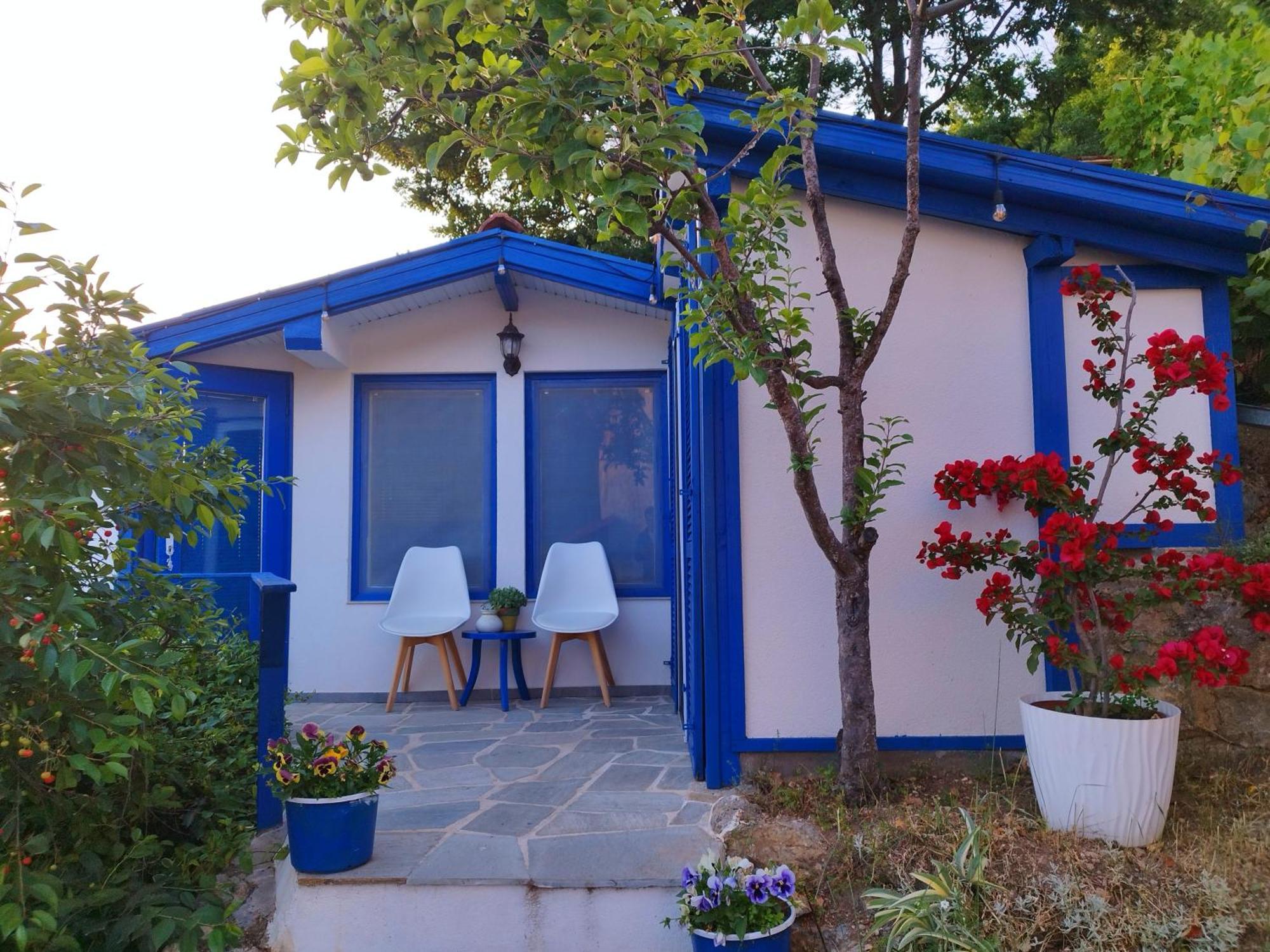 Villa Forest Paradise Ohrid Esterno foto