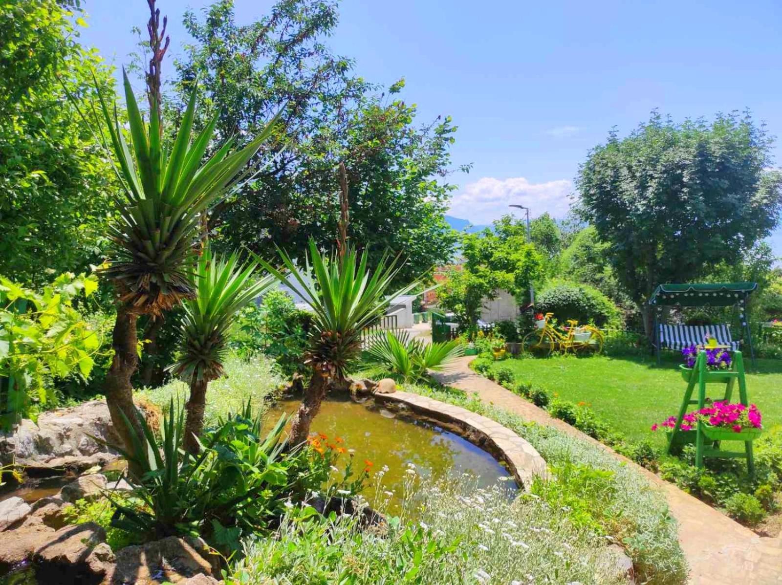 Villa Forest Paradise Ohrid Esterno foto